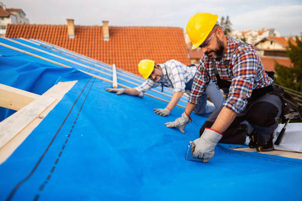Best Roof Gutter Cleaning  in Hanover, OH